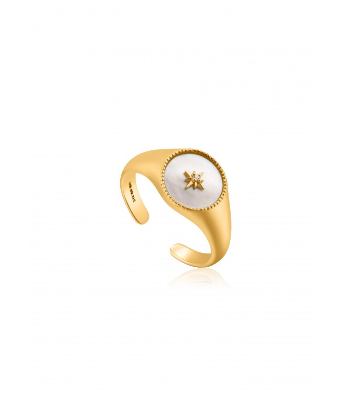 Women's Accessories Rings | Ania Haie Ring - gold/gold-coloured A1J51L00R-F11