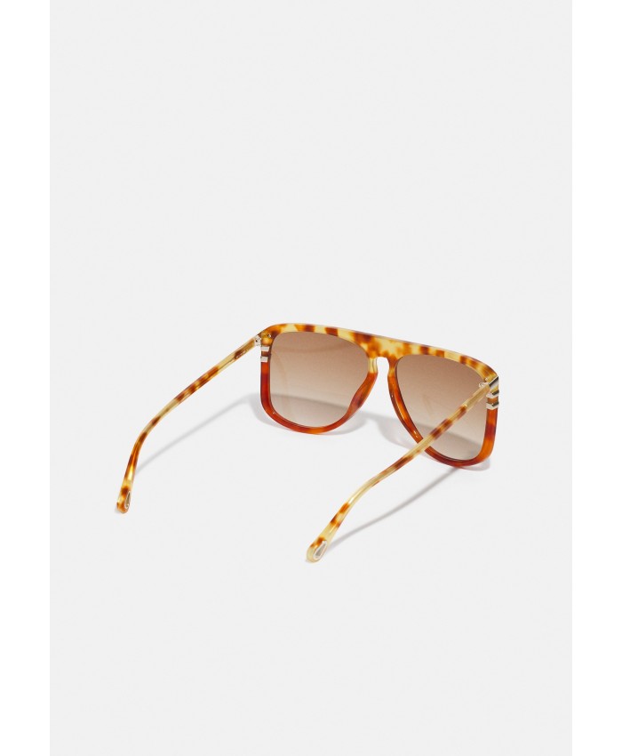 Women's Accessories Sunglasses | CHLOÉ Sunglasses - havana/brown/brown 1CH51K01P-O11