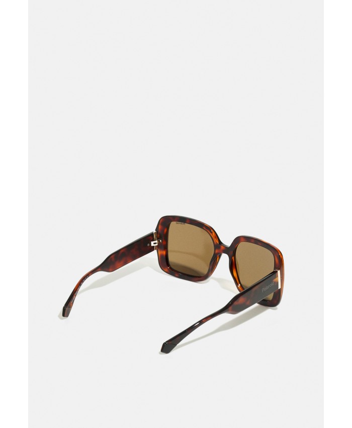 Women's Accessories Sunglasses | Polaroid Sunglasses - havana/brown 6PO51K02P-O11